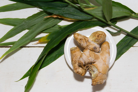 ginger plant from the organic garden on white backgroundの写真素材