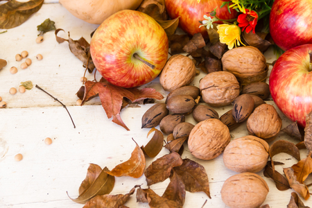 Autumn harvest composition with pumpkins and applesの写真素材