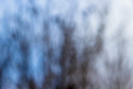 backgrounds of bare tree branches out of focus in cold colorsの写真素材