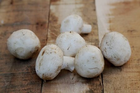 edible mushrooms campignon on rustic wooden backgroundの写真素材