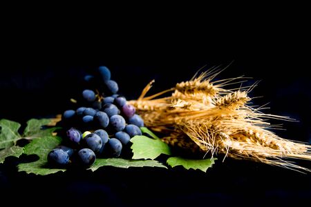 wheat grapes bread and crown of thorns on black background as a symbol of Christianityの写真素材