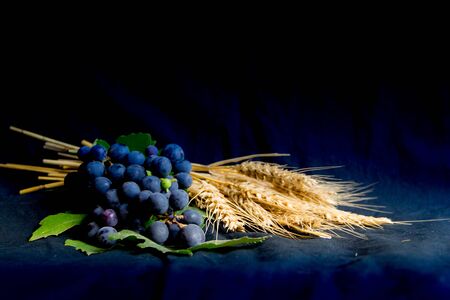 wheat grapes bread and crown of thorns on black background as a symbol of Christianityの写真素材