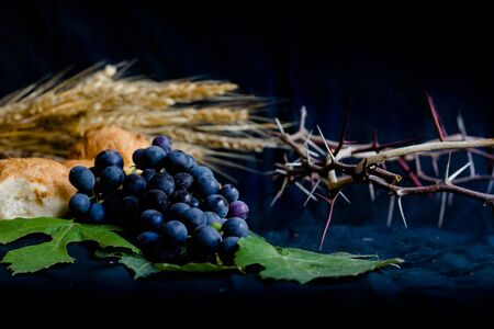 wheat grapes bread and crown of thorns on black background as a symbol of Christianityの写真素材