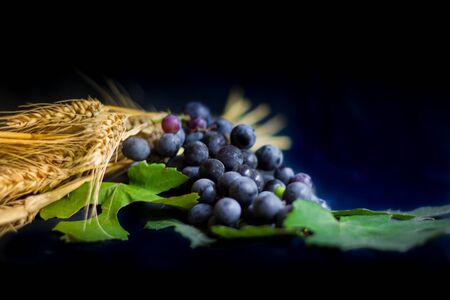 wheat grapes bread and crown of thorns on black background as a symbol of Christianityの写真素材
