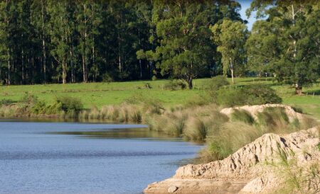 field landscape with stream and eucalyptus afforestation in Federacion Entre Rios Argentinaの写真素材