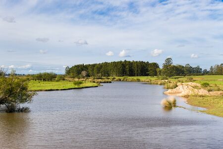 field landscape with stream and eucalyptus afforestation in Federacion Entre Rios Argentinaの写真素材