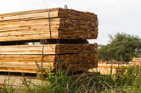 wood boards stacked for drying process in the sawmillの写真素材