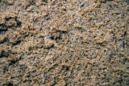 Background chocolate sponge cake macroの写真素材