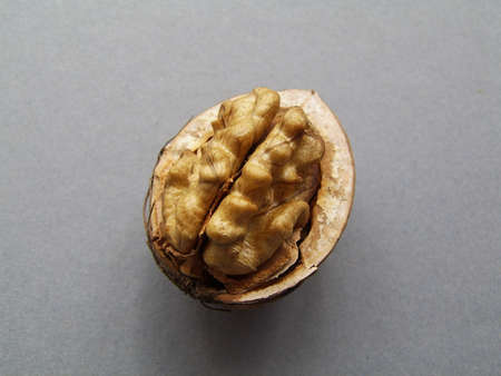 walnut on the grey backgroundの写真素材