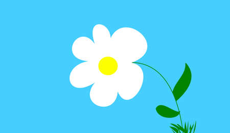 the flower on blue backgroundの写真素材