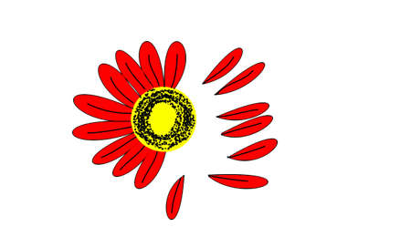 bloom on white backgroundの写真素材