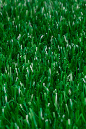 Macro photograph of turf plainの写真素材