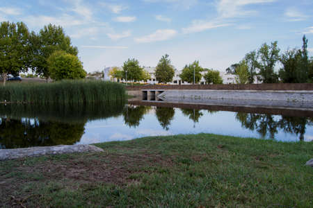 Outdoor Beautiful park with a lake and treesの写真素材