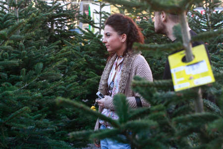 Bucharest, Romania, December 24, 2014: A young couple are looking for a natural Christmas tree in a Christmas tree market in Bucharest.のeditorial素材