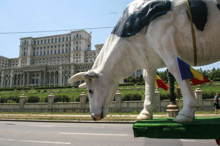 Bucharest, Romania, June 10, 2009: Romanian farmers  protest next to the Romanian Parliament in Bucharest, against the governmental measures regarding subsidies.のeditorial素材