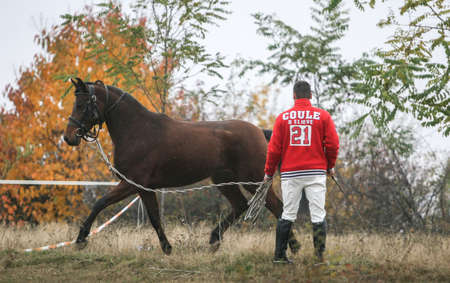 Campina, Romania, November 1, 2009: A jockey trains his horse before a horse jumping competition in Campina.のeditorial素材