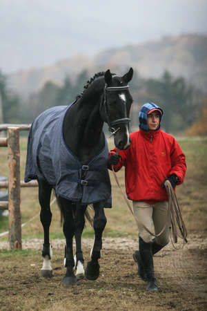 Campina, Romania, November 1, 2009: A jockey trains his horse before a horse jumping competition in Campina.のeditorial素材
