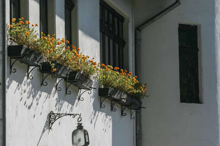 Sinaia, Romania, October 9, 2009: A part of the facade with windows and flowers of the Memorial House George Enescu in Sinaia.のeditorial素材