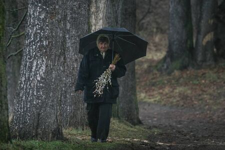 HARGHITA, ROMANIA - March 27, 2010: Old woman going to church on a rainy day with flowers in her hand.のeditorial素材