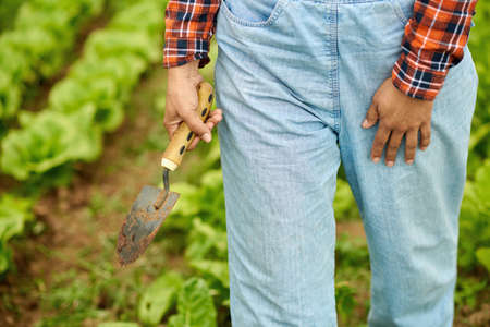 Crop grower with gardening trowel on plantation in countrysideの写真素材