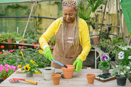 Smiling African-American woman planting flowers in greenhouseの写真素材
