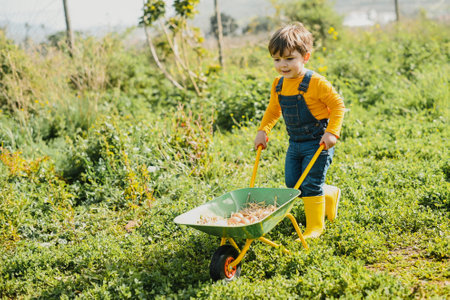 Cute kid rolling wheelbarrow while working on farmの写真素材