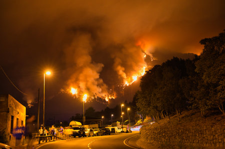 Nocturnal Inferno: Watching as Trees Engulf in Flames.の写真素材