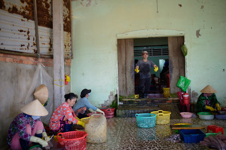 Asian women working in local fish marketのeditorial素材