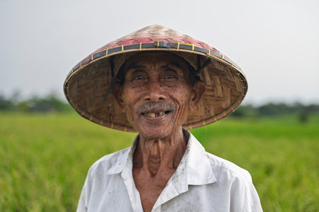 Elderly farmer in conical hat in fieldの写真素材