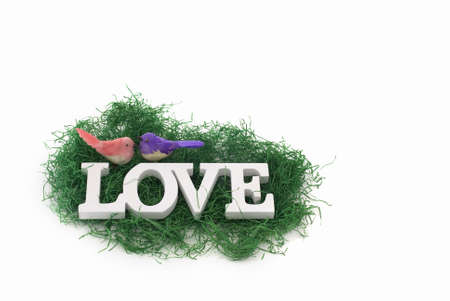 love concept with birdsの写真素材