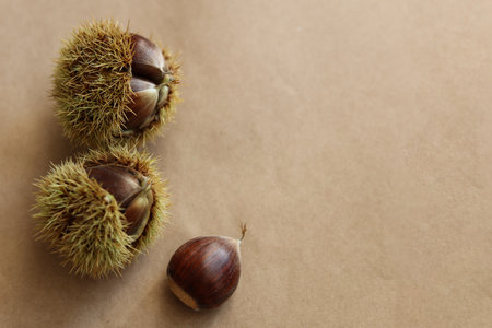a close up of edible chestnut on paper backgroundの写真素材