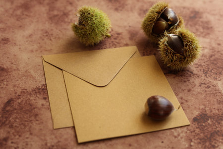 still life with brown envelope and edible chestnutsの写真素材