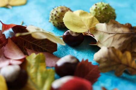 colorful autumn leaves and chestnuts on a blue watercolor backgroundの写真素材