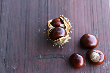 shiny fresh chestnuts on a wooden background