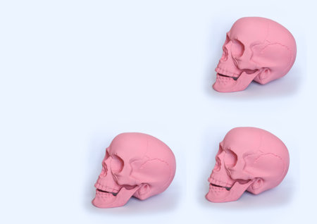 pastel pink skulls from side on a white background pattern