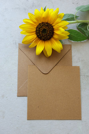 a brown envelope with a blank message card and a bright yellow sunflowerの写真素材