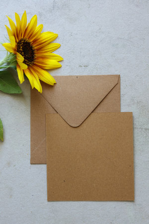 a brown envelope with a blank message card and a bright yellow sunflowerの写真素材