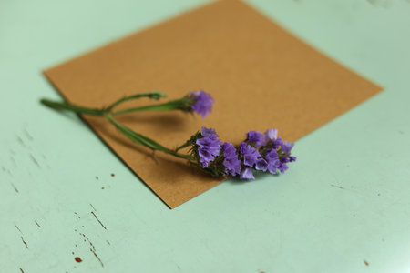 Beautiful flowers on a white background with brown paper envelope.