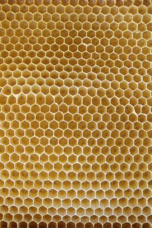 golden honeycomb texture close upの写真素材