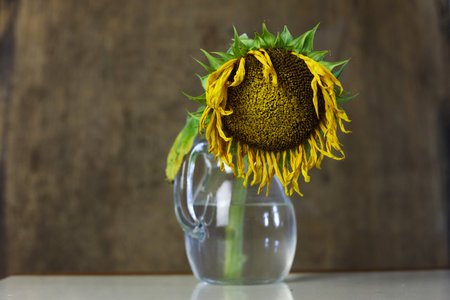 sunflower in glass vase on tableの写真素材