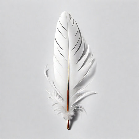 Feather of a bird on a gray background. Flat lay.の素材