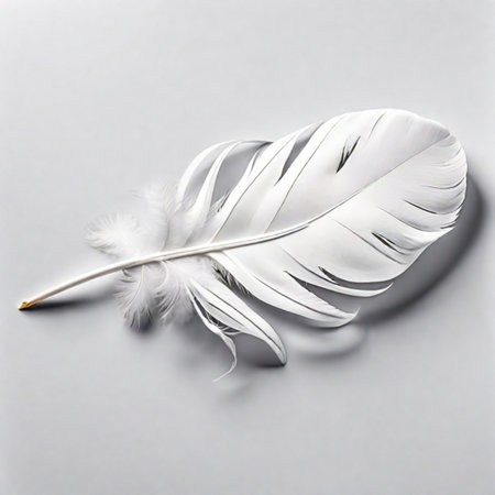 Feather of a bird on a gray background. Flat lay.の素材