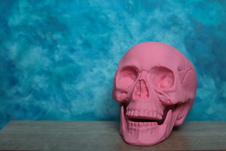 Pink skull on a blue background. Halloween concept. Copy space.の写真素材