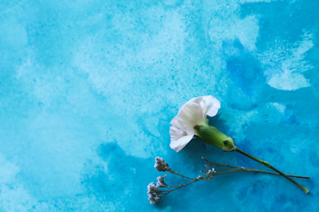 White carnation flower on blue watercolor background with copy space. Flat lay.