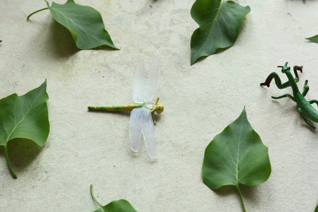 Green leaves and toy insect on old paper background. Flat lay.の写真素材