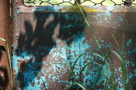 Old rusty metal fence with green grass and shadow of tree on itの写真素材