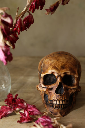 Still life with human skull and dry flowers on wooden background. Halloween concept