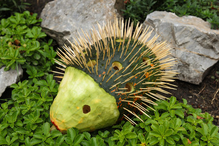 Prickly Pear Cactus in the Garden with Green Leaves.