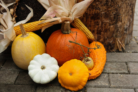 pumpkins and gourds on hay background, autumn harvest