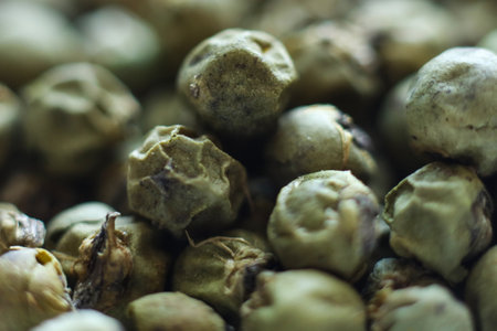 Close up of green peppercorns. Macro shot.の写真素材